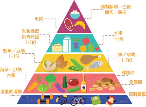 食物金|飲食金字塔